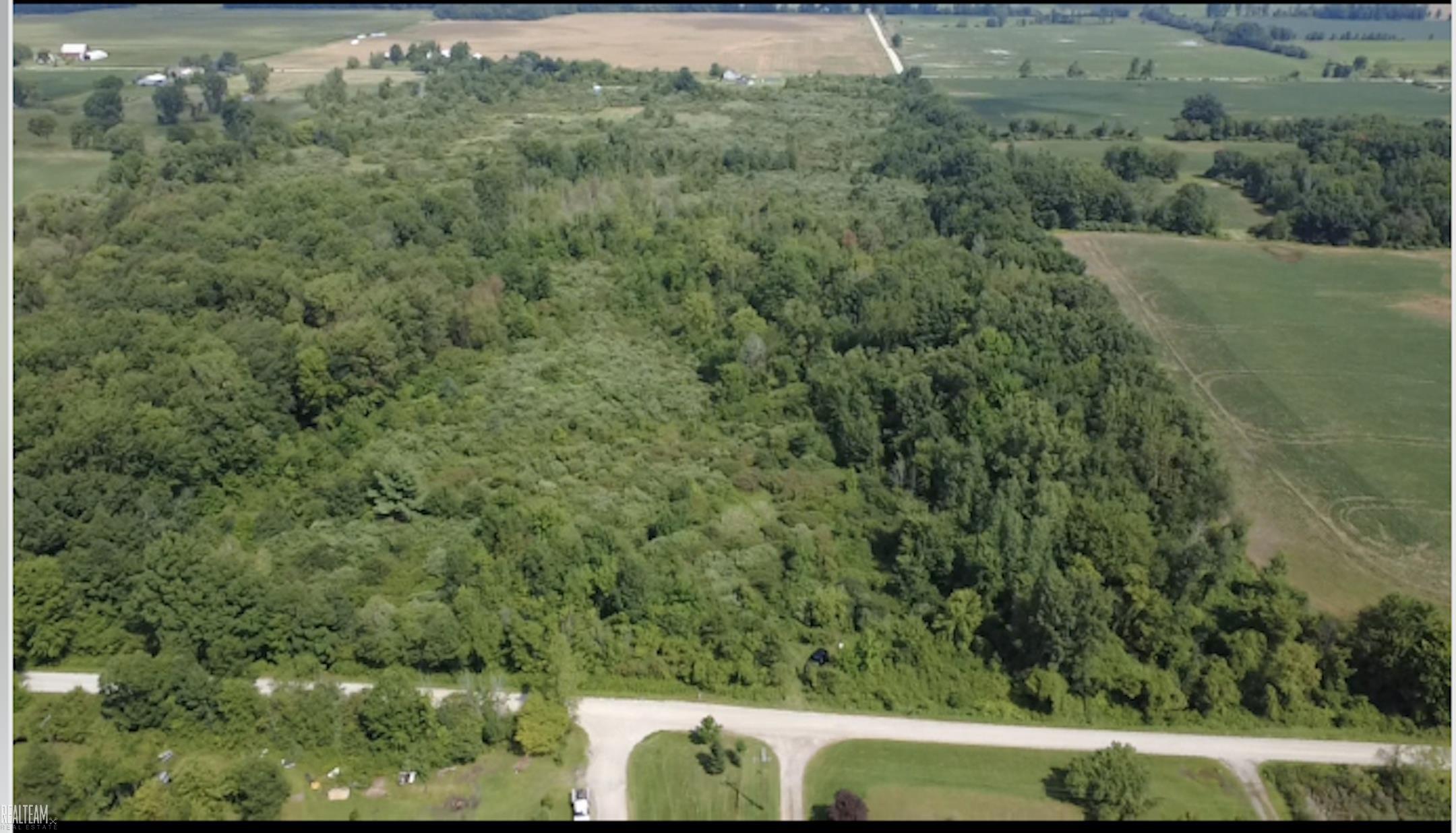 0 Nettney Road Capac, MI 48014 - Photo 3 of 3