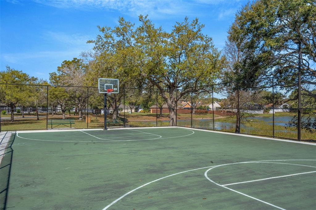 6765 Lake Rochester Lane Gibsonton, FL 33534 - Photo 30 of 33 a view of a basket ball ground