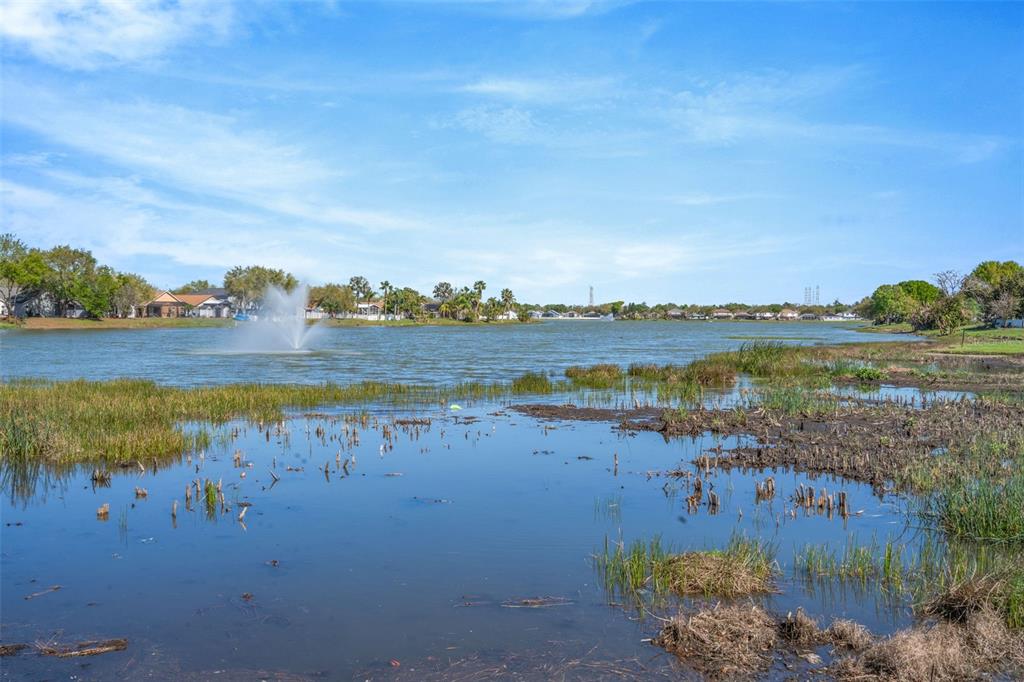 6765 Lake Rochester Lane Gibsonton, FL 33534 - Photo 31 of 33 a view of an ocean with city