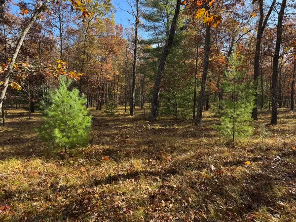 $41,900 | 7 County Line Road, Manistee, MI 49660