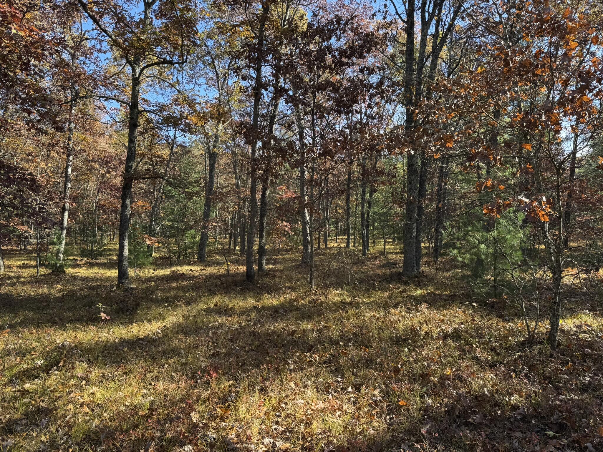 7 County Line Road Manistee, MI 49660 - Photo 4 of 5 IMG_1392