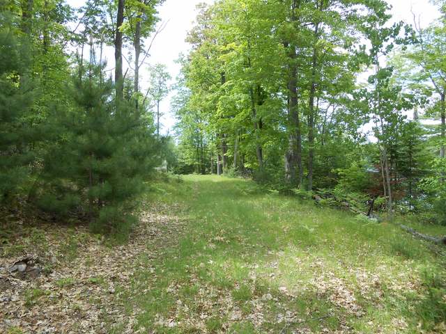 Off Sand Lake Road Harshaw, WI 54529 - Photo 15 of 20 Gallery Image 15
