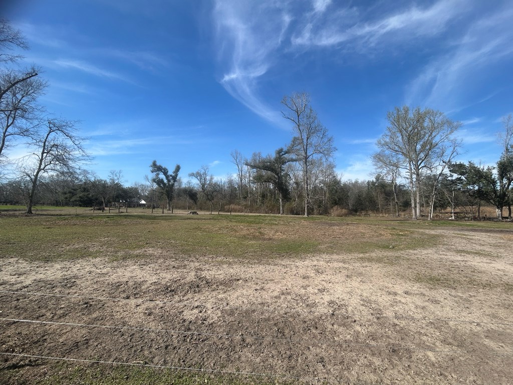 4717 State Line Road Cottonwood, AL 36320 - Photo 10 of 37