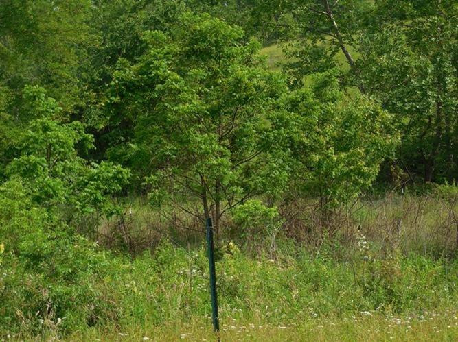 563 Keeton Lake Road Wellington, KY 40387 - Photo 66 of 76 Photo 66