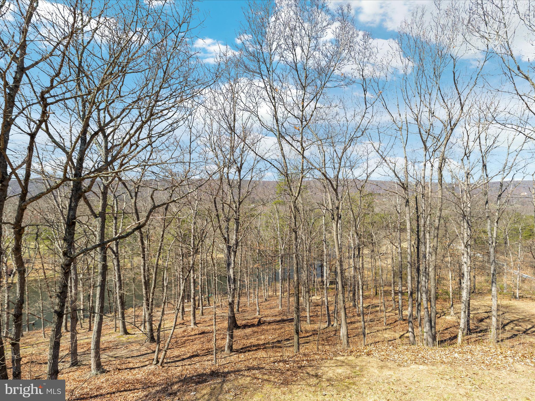 255 White Road Winchester, VA 22602 - Photo 54 of 109 Gallery Image 54