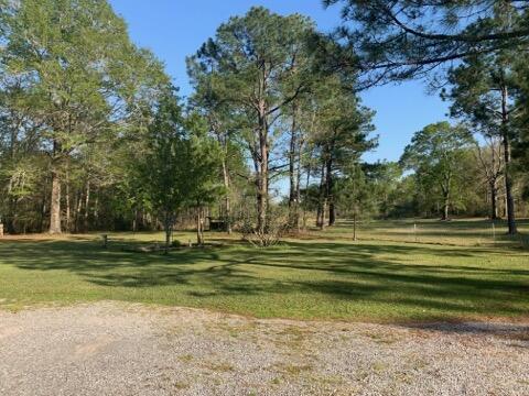 1669 Arrant Road Westville, FL 32464 - Photo 24 of 30 IMG_9636