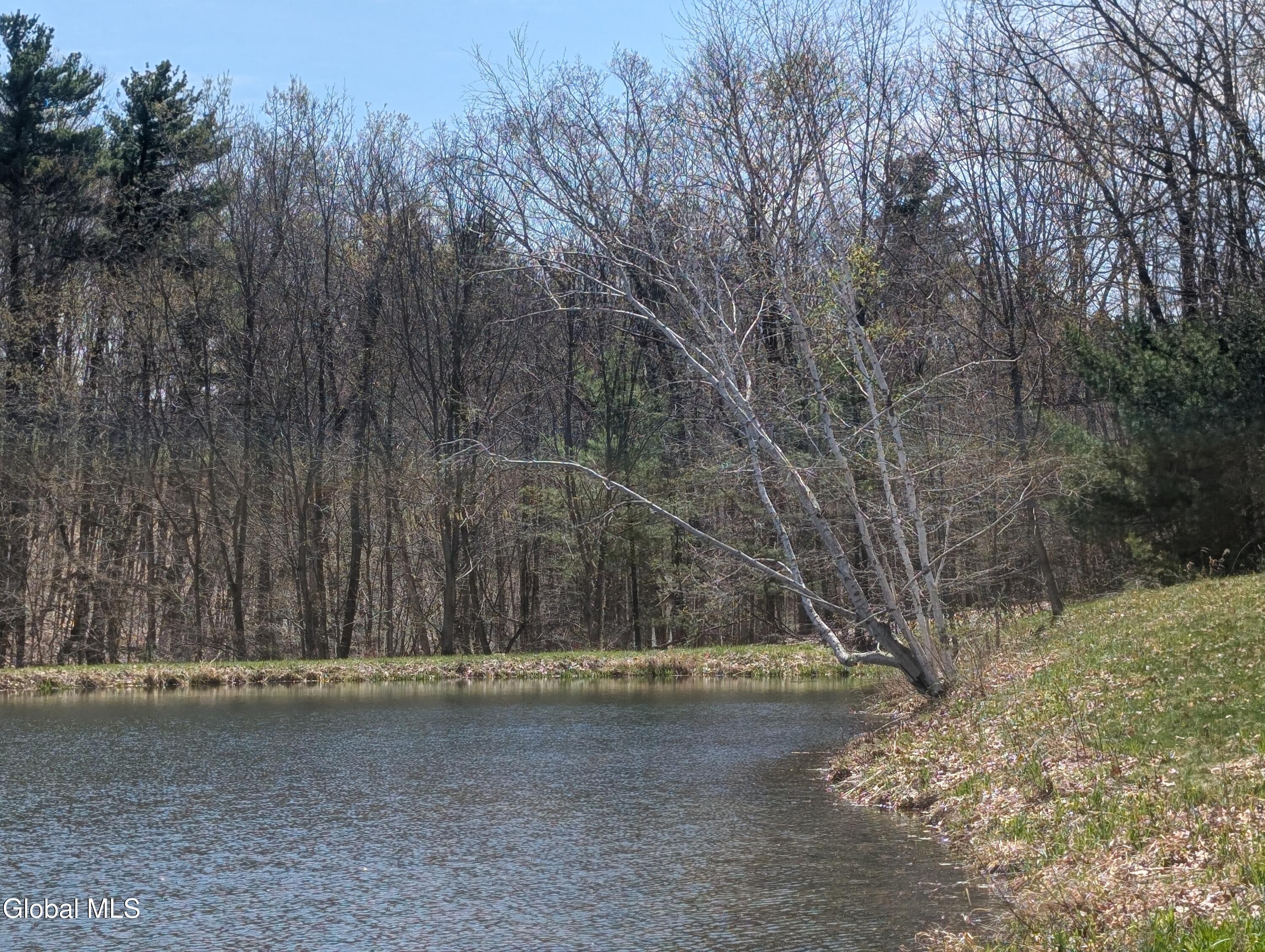 83 Mitchell Road Hoosick, NY 12090 - Photo 8 of 16 Pond