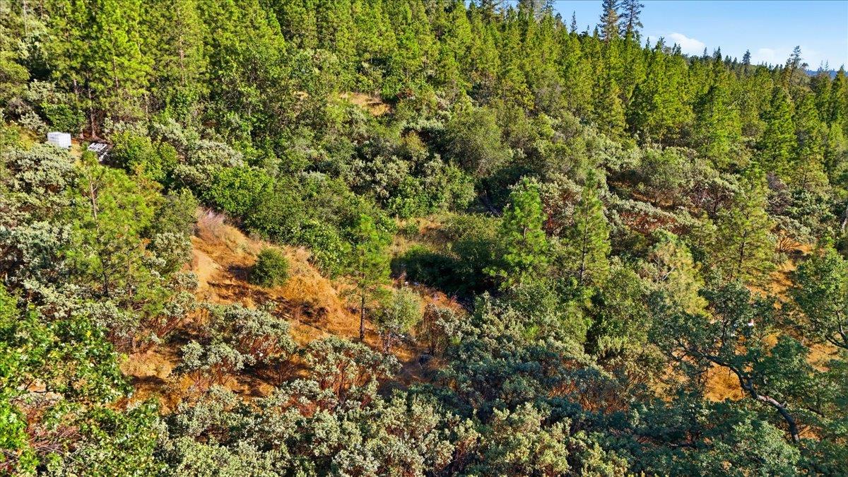 17436 Black Forest Road Penn Valley, CA 95946 - Photo 15 of 36