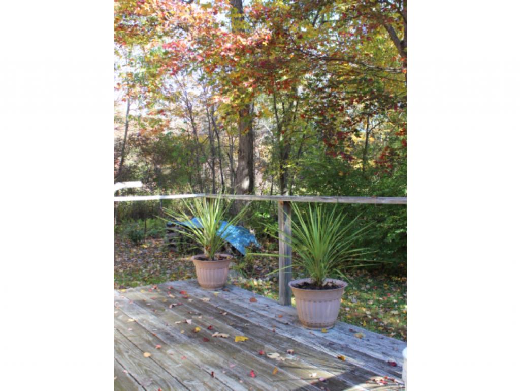46 Newton Hill Road Vernon, VT 05354 - Photo 23 of 24 Gallery Image 23