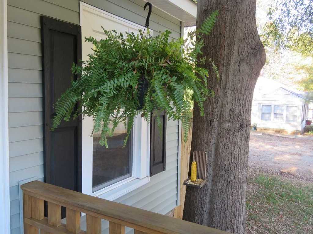307 Dickens Avenue Anderson, SC 29621 - Photo 5 of 19 Gallery Image 5