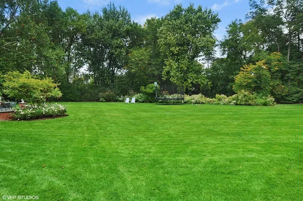 a view of a grassy field with trees