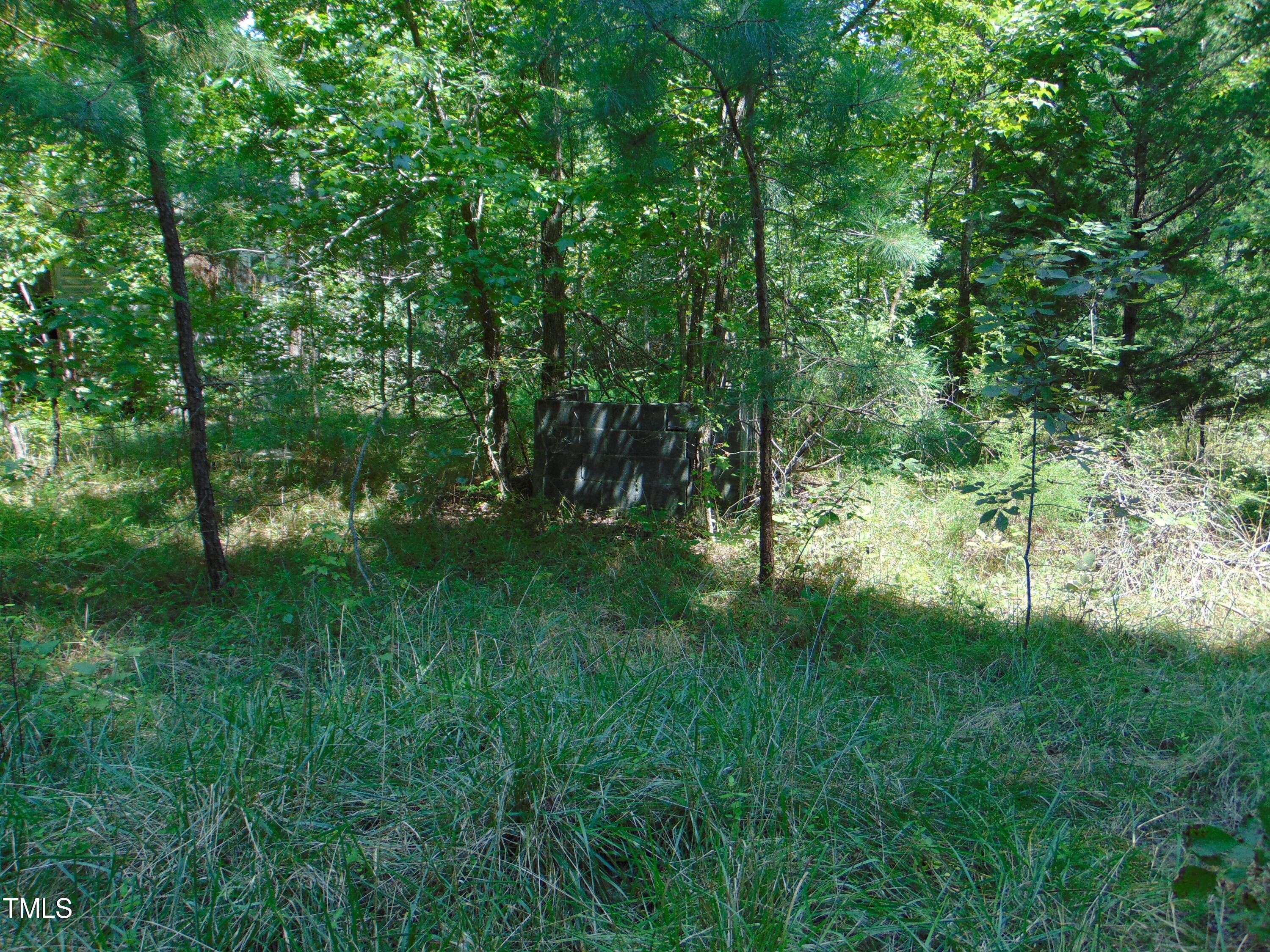 9171 Us Highway Bullock, NC 27507 - Photo 10 of 11 DSC00815