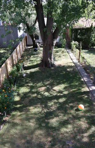 a view of a yard with plants and trees
