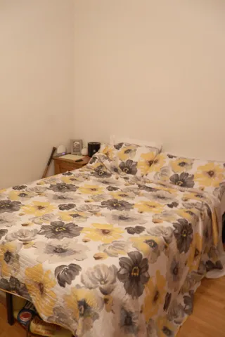 a view of a very nice looking yard