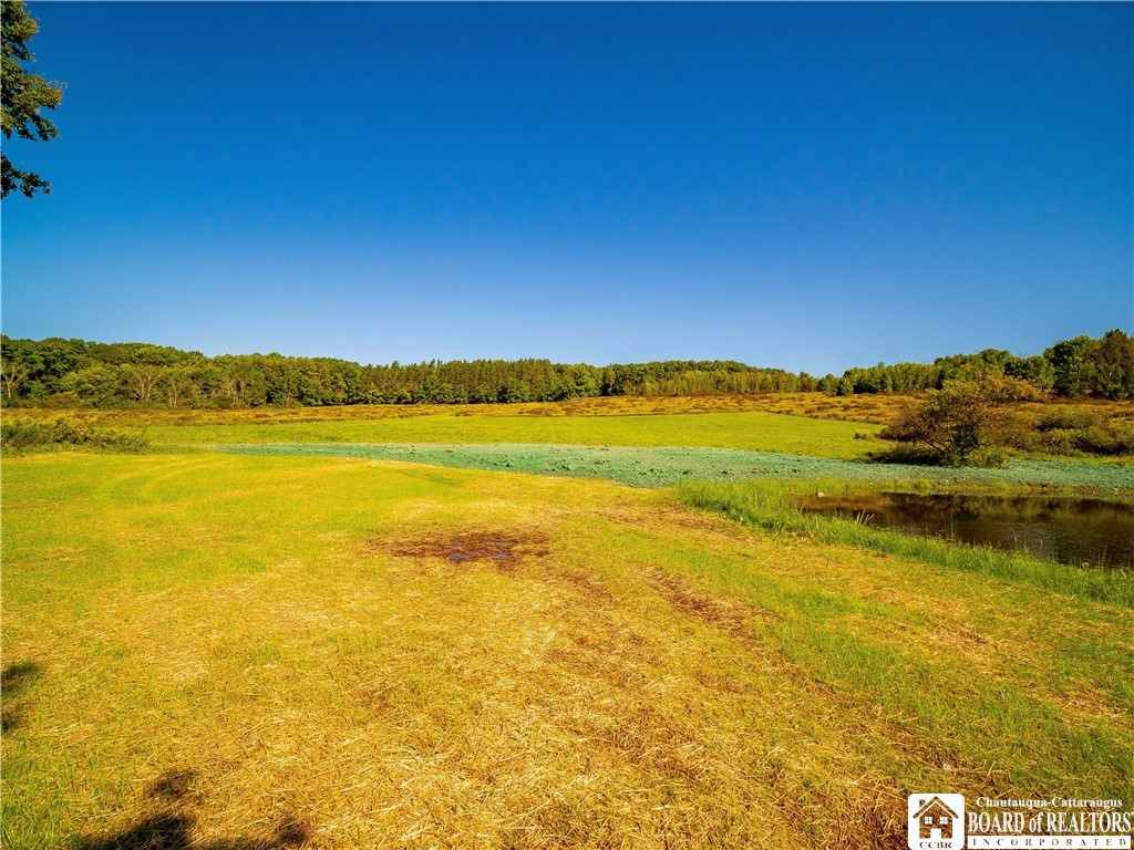 3710 Cowing Road Busti, NY 14750 - Photo 23 of 30