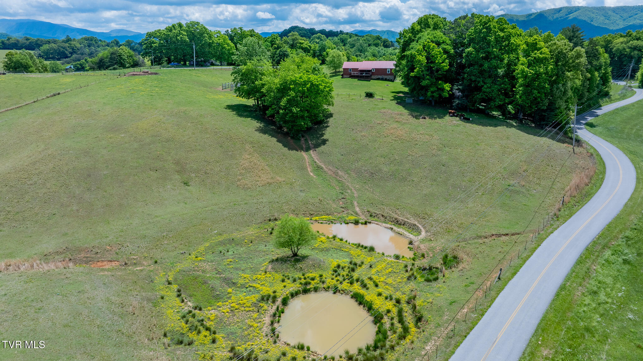 902 South Mill Road Greeneville, TN 37743 - Photo 44 of 50 dji_fly_20260430_123556_0226_17775671990