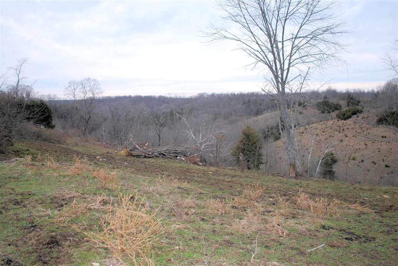 218 Sullivan Ridge Road Vanceburg, KY 41179 - Photo 11 of 20 Gallery Image 11