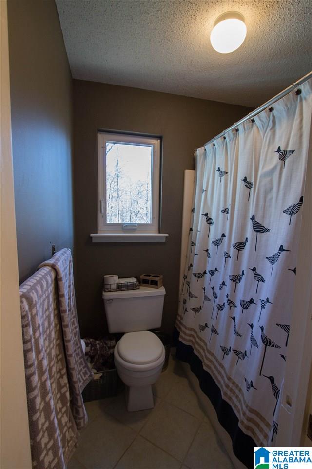 422 Stonebridge Road Birmingham, AL 35210 - Photo 22 of 44
