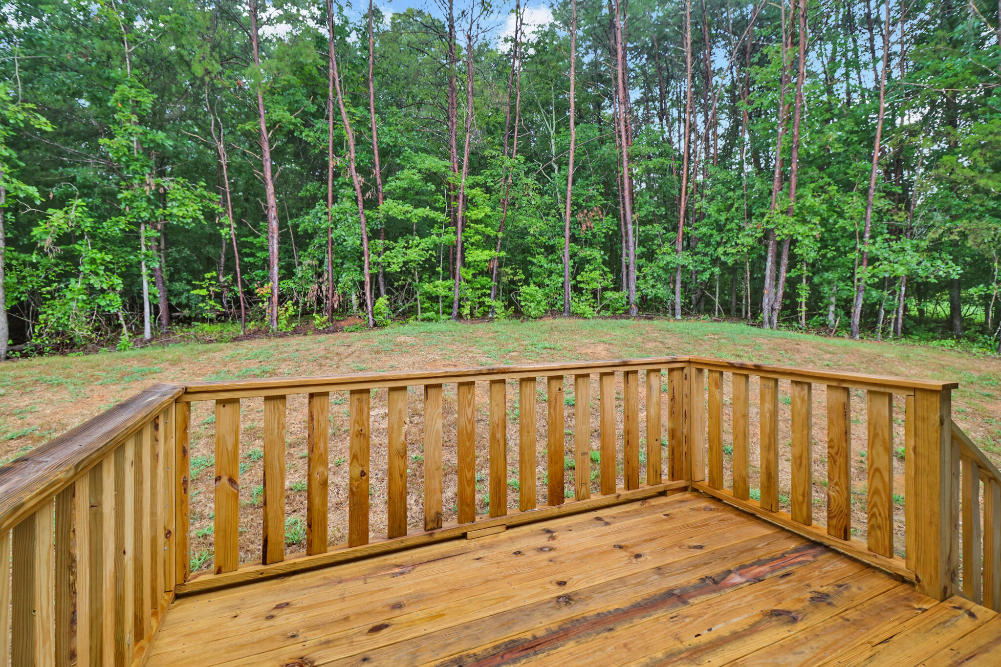4539 Toestring Valley Road Spring City, TN 37381 - Photo 20 of 31 if1a7485-if1a7489