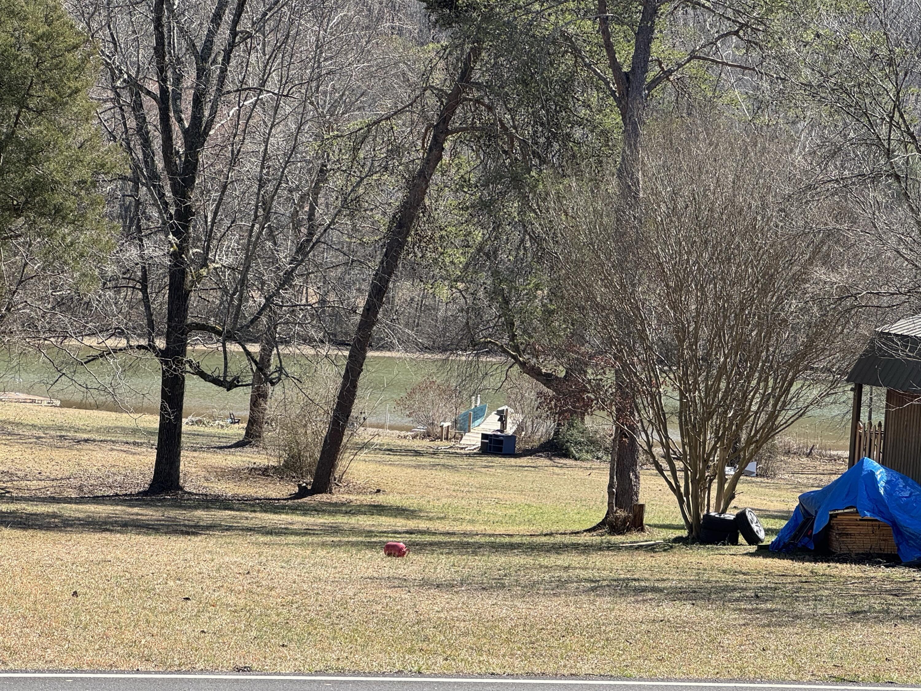 4539 Toestring Valley Road Spring City, TN 37381 - Photo 29 of 31 19