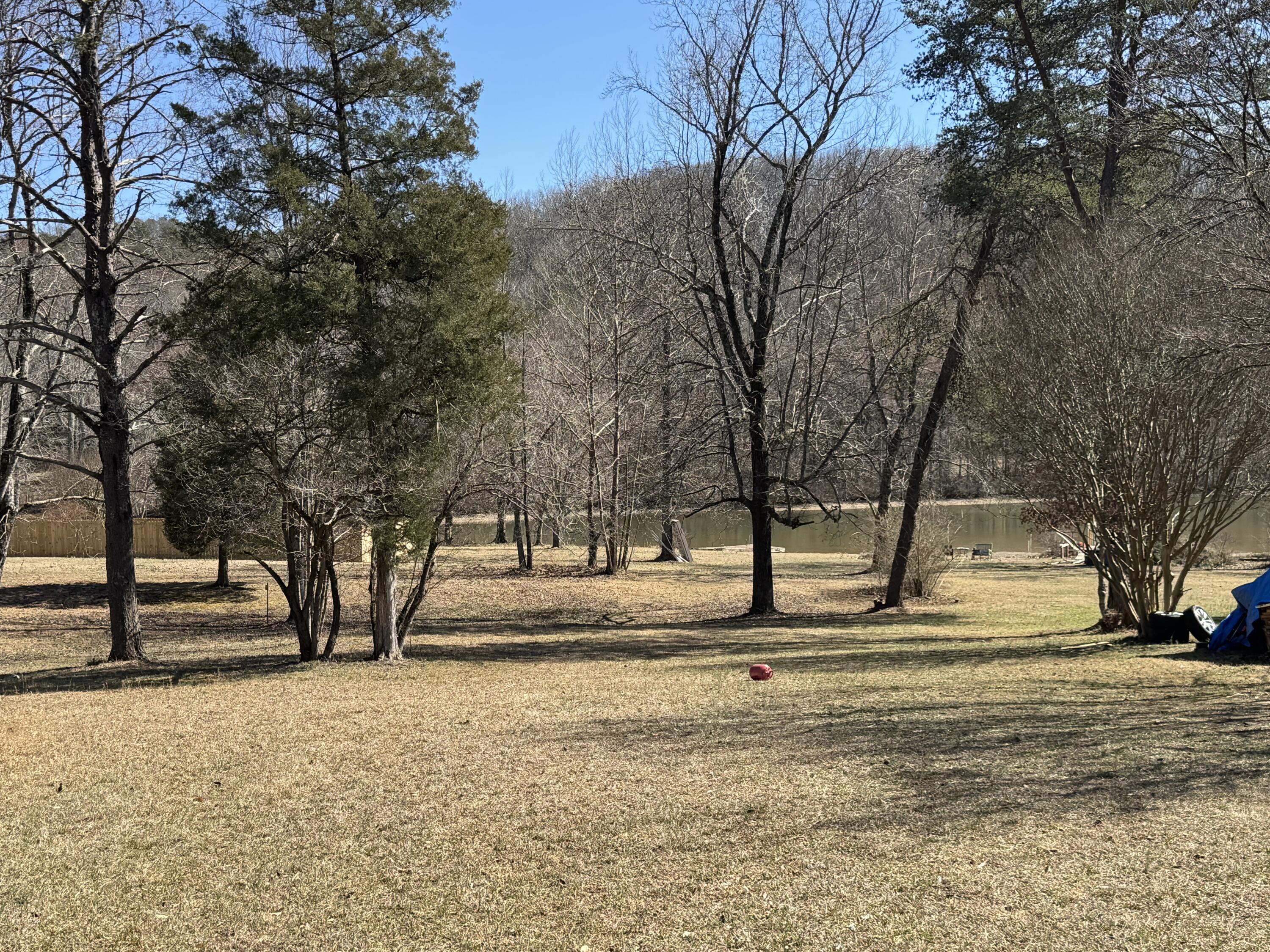 4539 Toestring Valley Road Spring City, TN 37381 - Photo 31 of 31 22