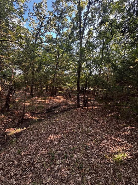 Tbd Woodland Estates Road Terrell, TX 75160 - Photo 18 of 22 a view of outdoor space with deck and yard