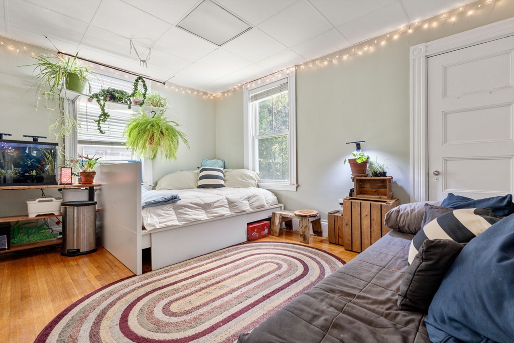 69 Chestnut Hill Avenue Boston, MA 02135 - Photo 24 of 32 a living room with furniture and a large window