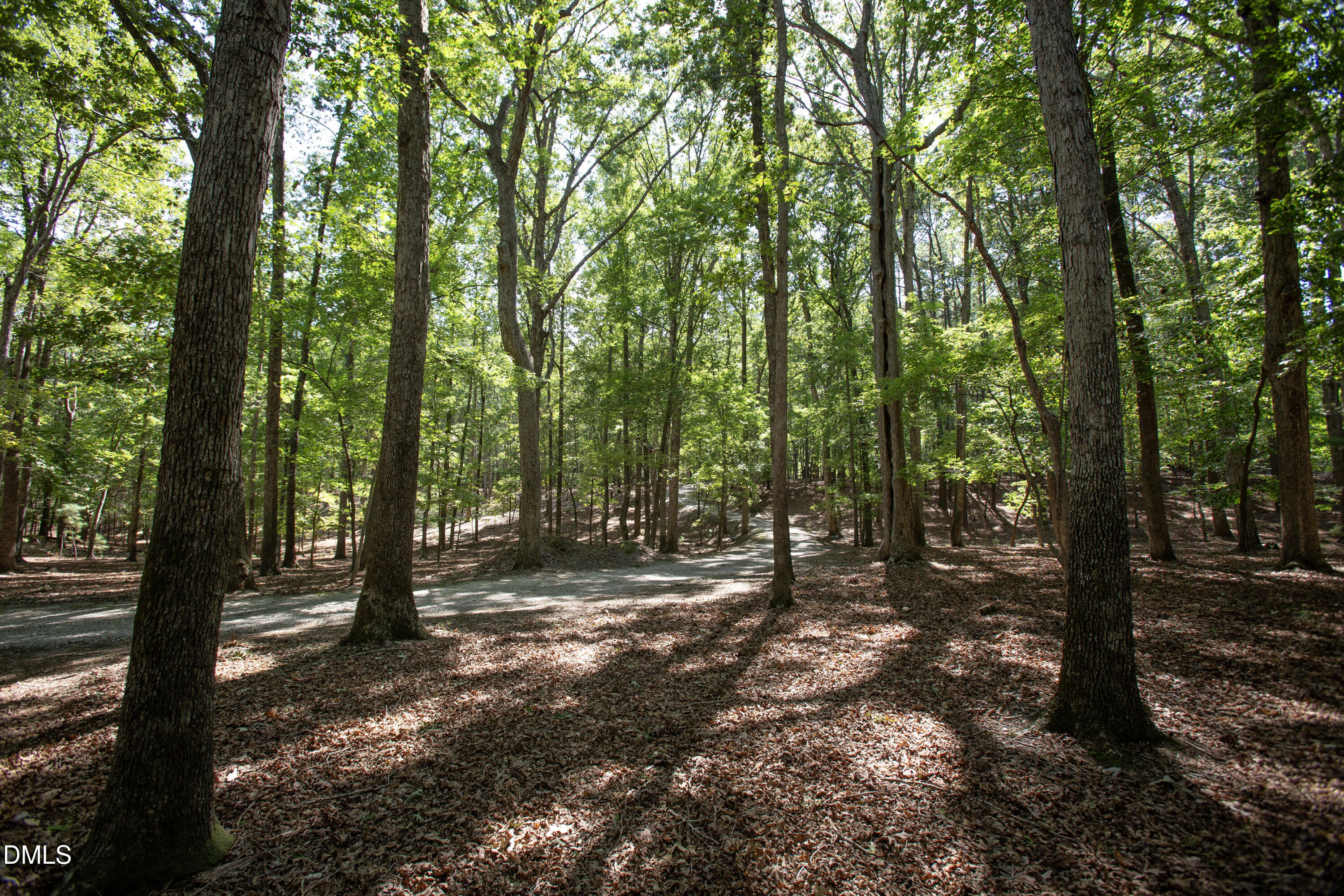 1716 Brassfield Road Raleigh, NC 27614 - Photo 18 of 74 Brassfield 22