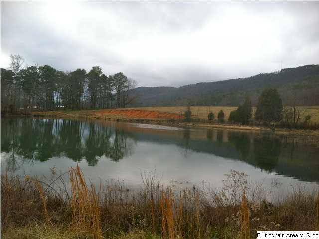 4147 Washington Valley Road, Unit 108 AC Springville, AL 35146 - Photo 3 of 10 Gallery Image 3