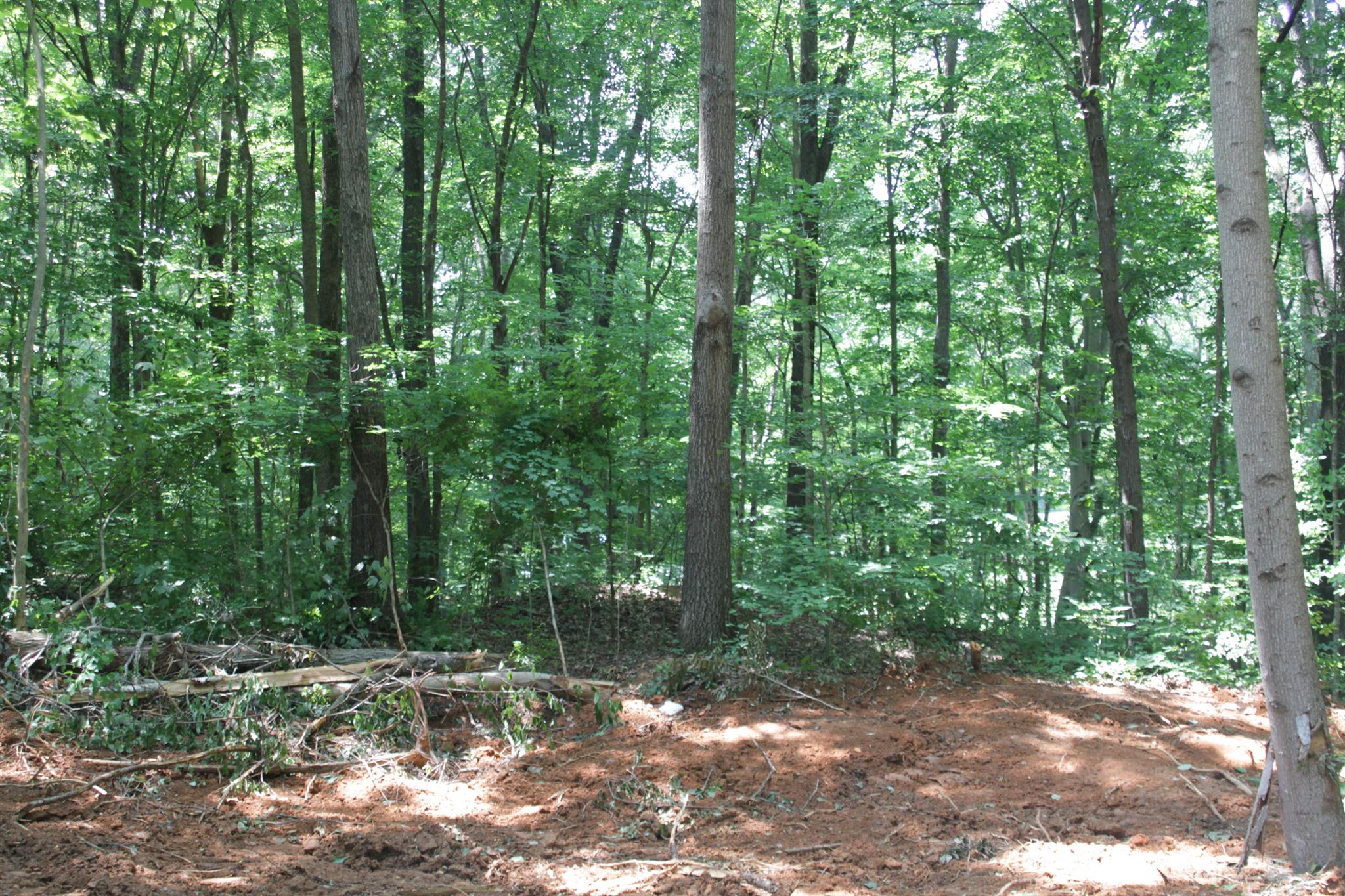8366 Horseshoe Road Cross Plains, TN 37049 - Photo 11 of 22 Gallery Image 11