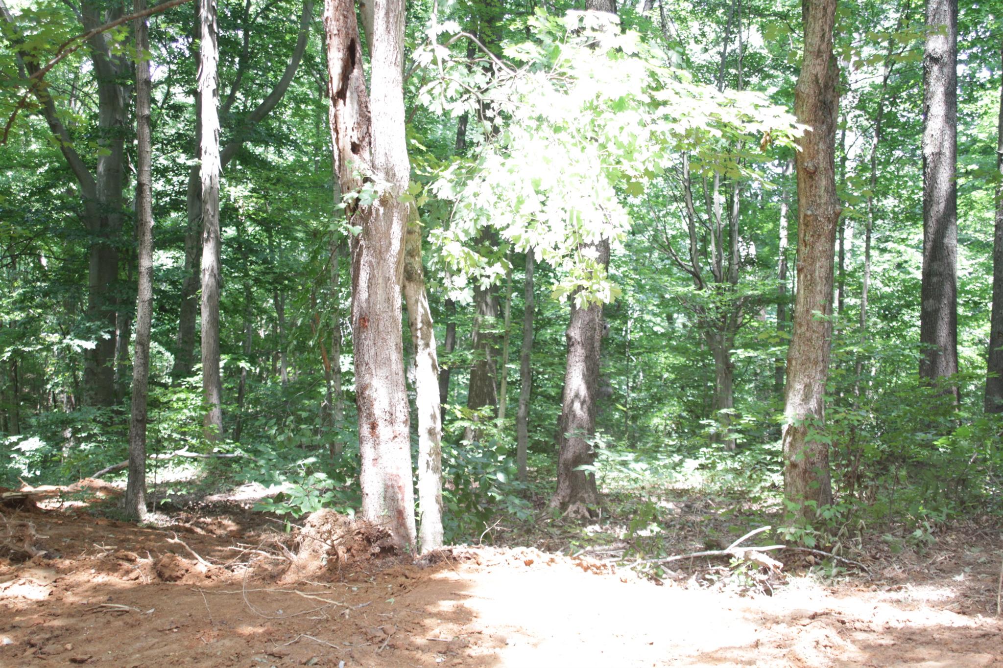 8366 Horseshoe Road Cross Plains, TN 37049 - Photo 12 of 22 Gallery Image 12