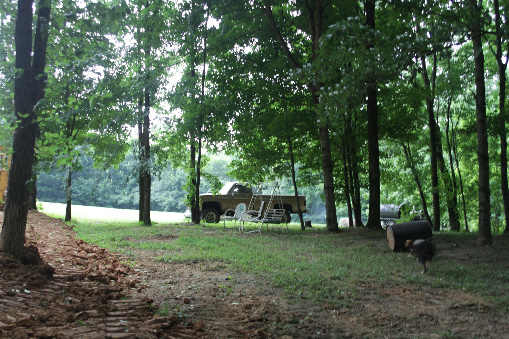 8366 Horseshoe Road Cross Plains, TN 37049 - Photo 5 of 22 Gallery Image 5