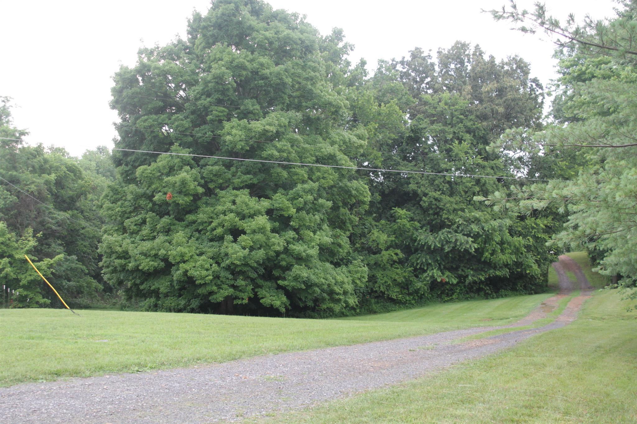 8366 Horseshoe Road Cross Plains, TN 37049 - Photo 6 of 22 Gallery Image 6