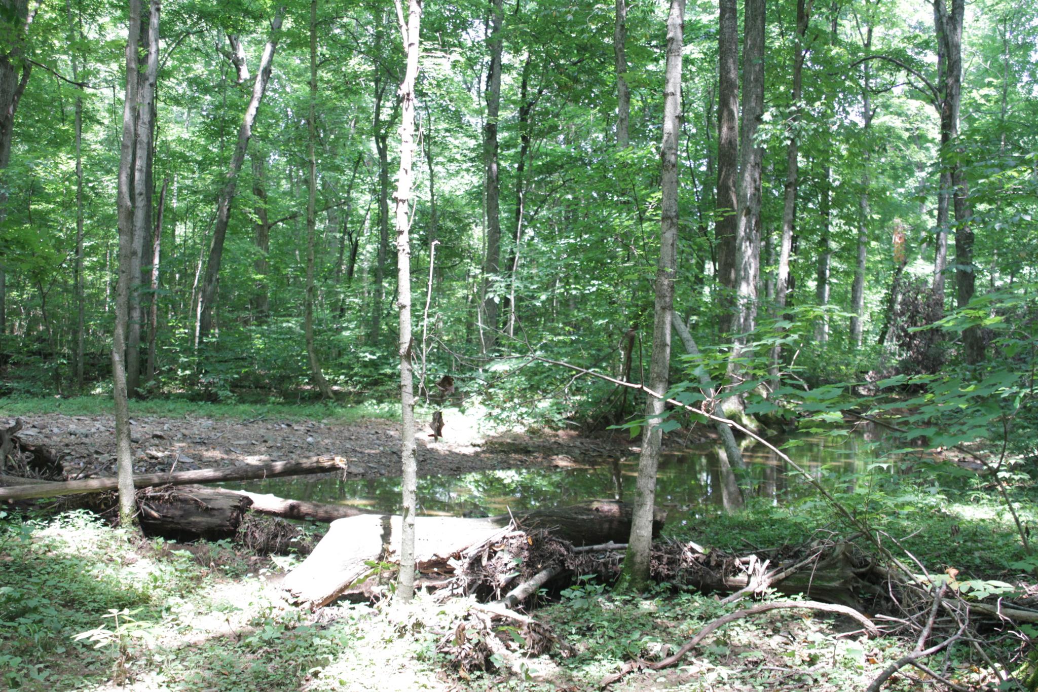 8366 Horseshoe Road Cross Plains, TN 37049 - Photo 9 of 22 Gallery Image 9