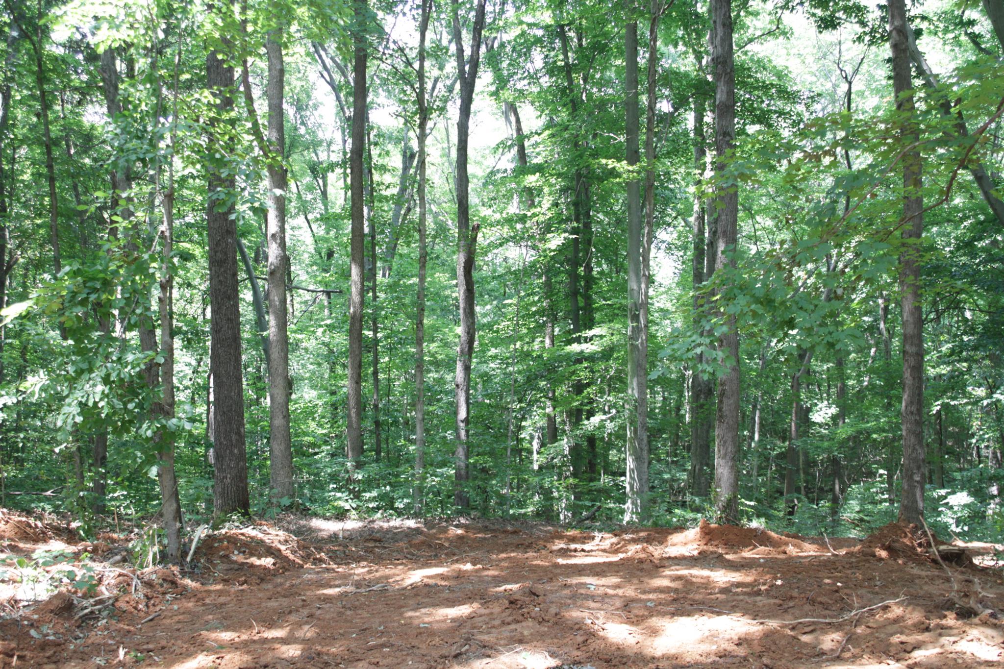 8366 Horseshoe Road Cross Plains, TN 37049 - Photo 10 of 22 Gallery Image 10