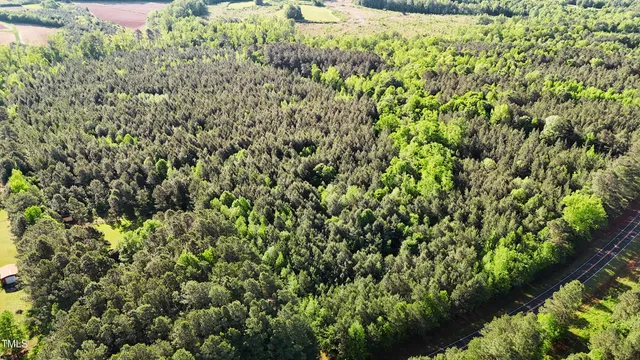 a view of a lush green forest with lots of trees