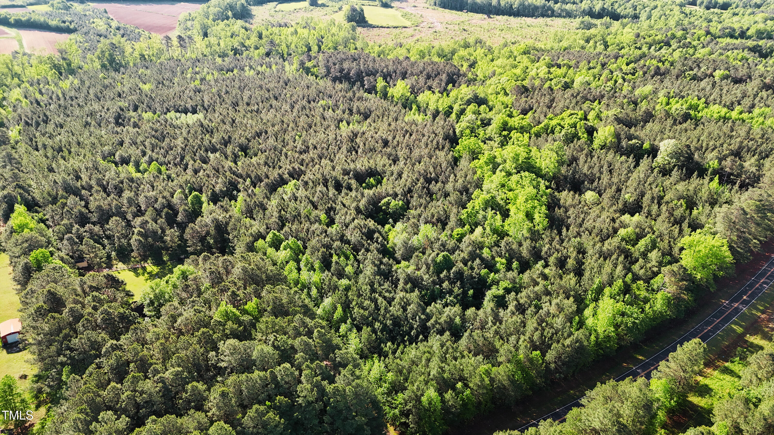 642 Breedlove Road Louisburg, NC 27549 - Photo 3 of 7 a view of a lush green forest with lots of trees