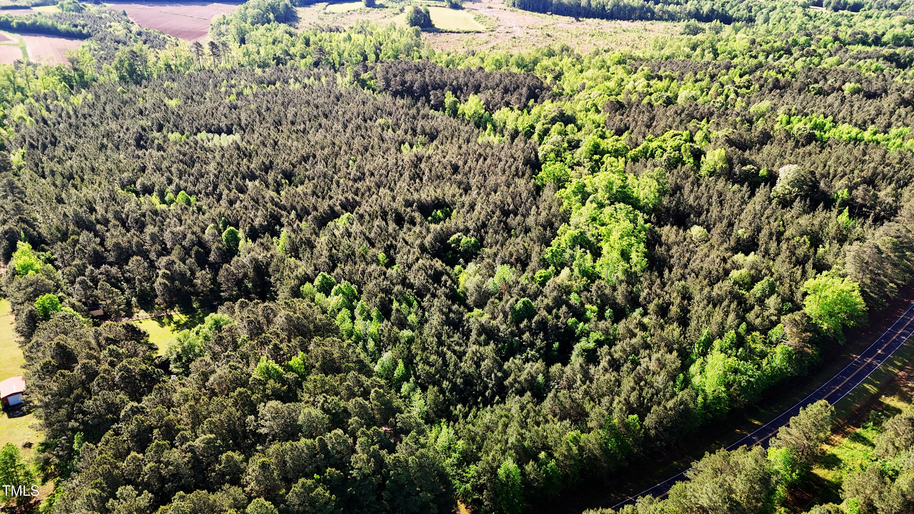 642 Breedlove Road Louisburg, NC 27549 - Photo 4 of 7