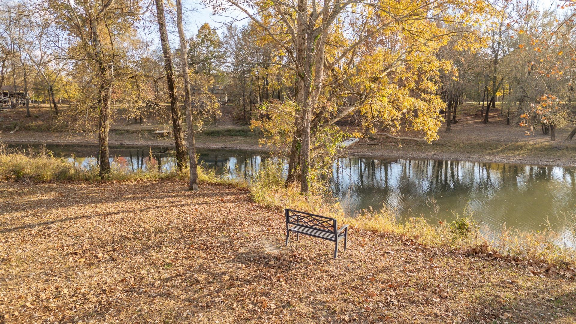 6425 Cravens Road Savannah, TN 38372 - Photo 21 of 39 a lake view with a bench under large trees