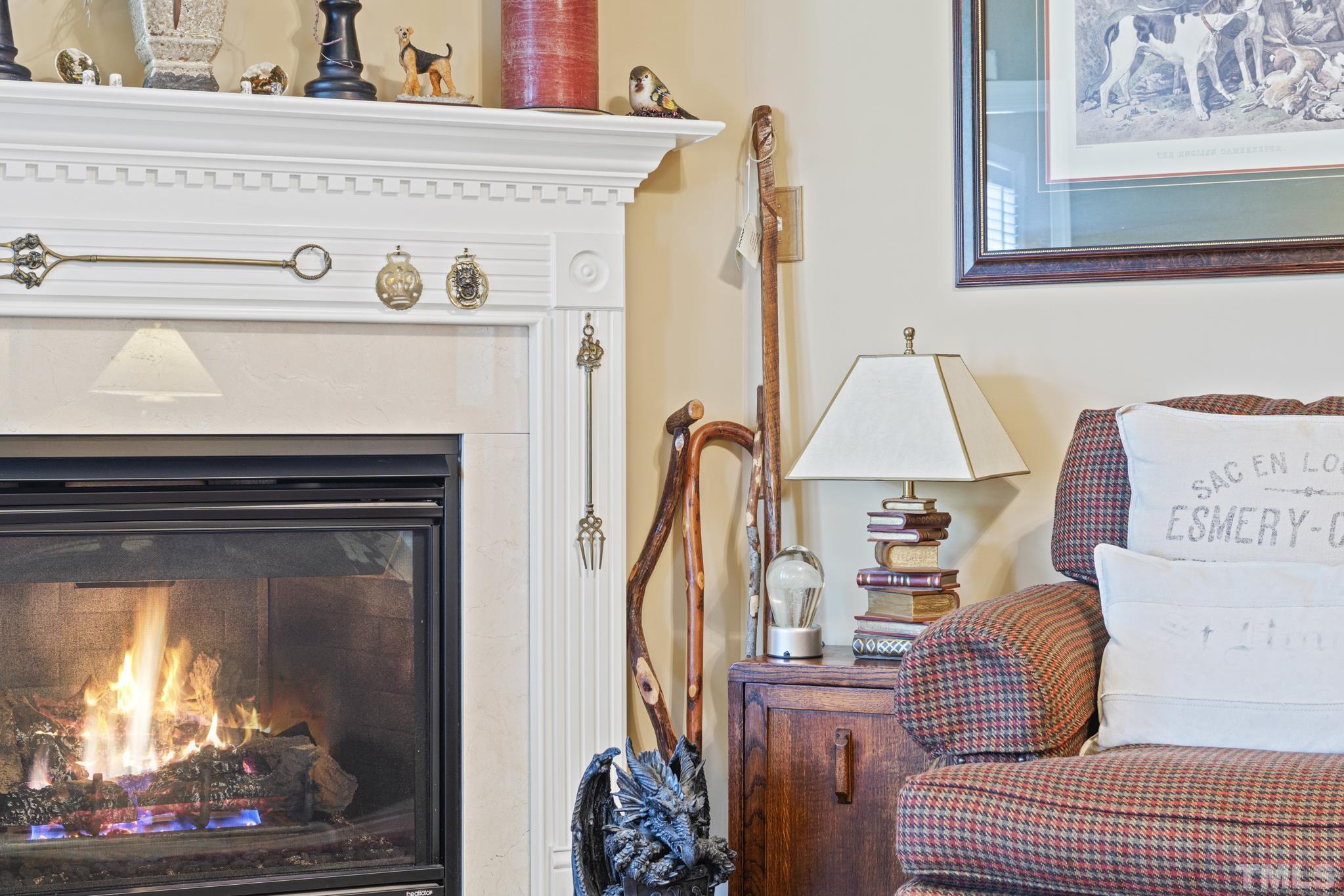 641 Canvas Drive Wake Forest, NC 27587 - Photo 1 of 37 a living room with a fireplace furniture a rug and a window