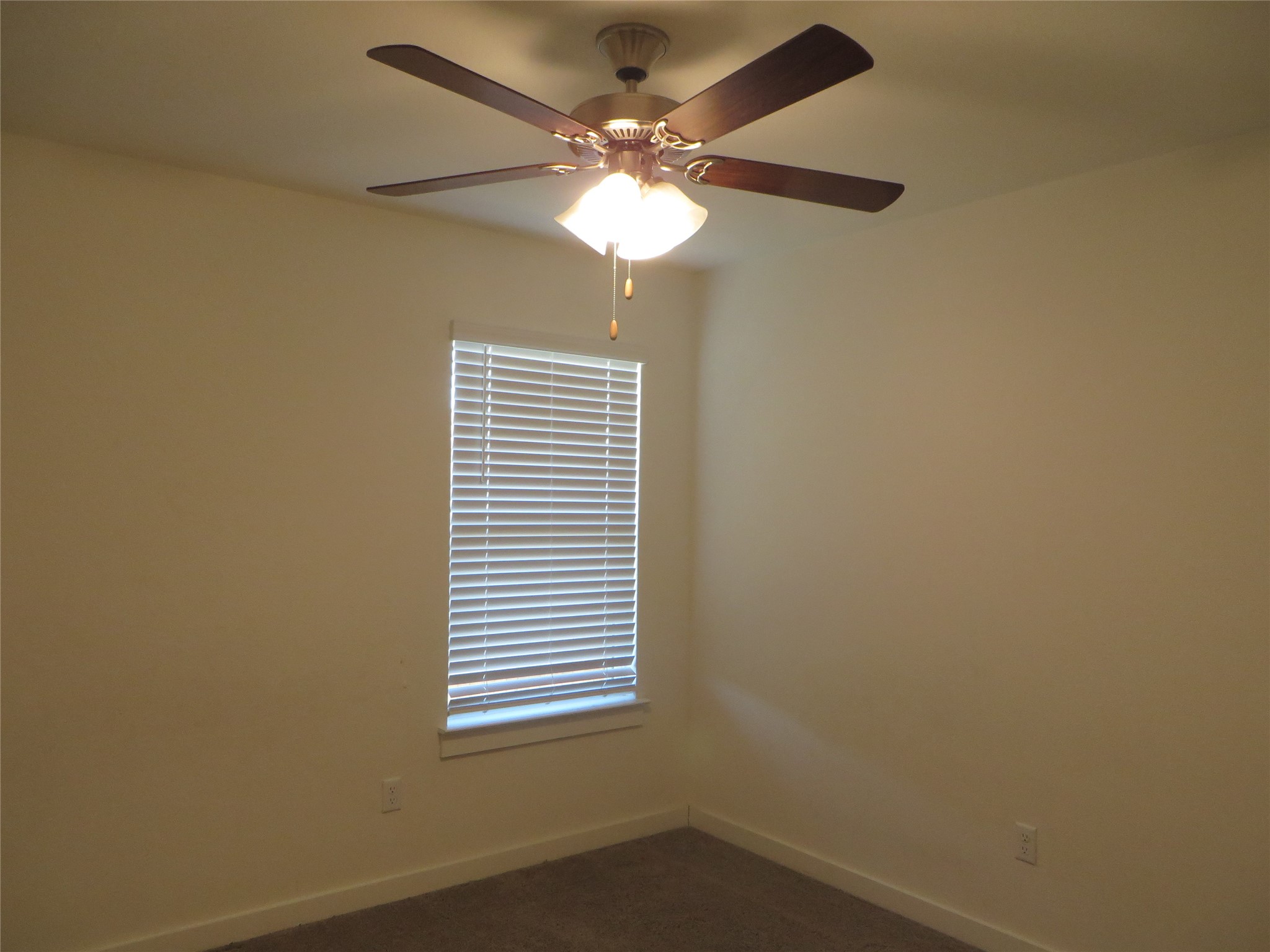 217 Gidran Trail Georgetown, TX 78626 - Photo 21 of 24