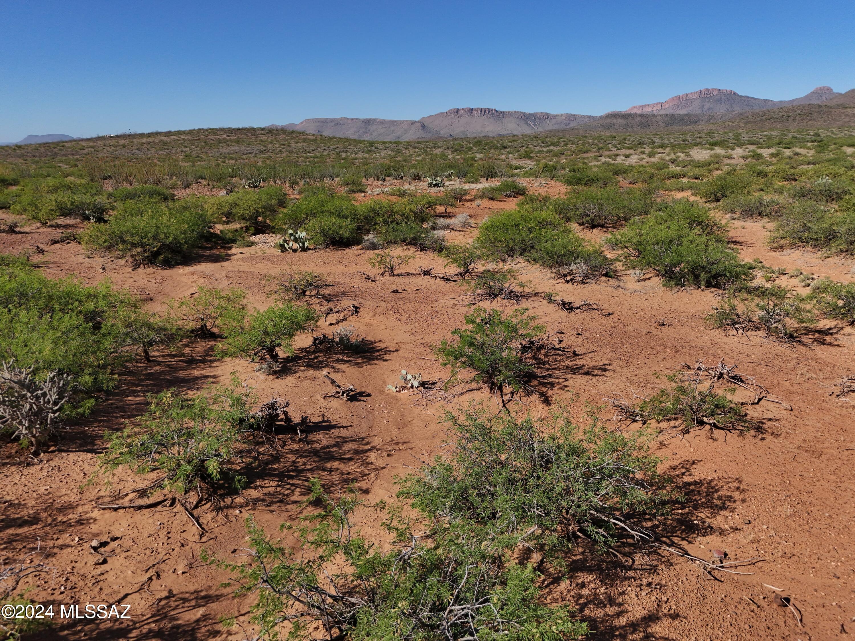 Tbd Tbd Silver Creek Ranch Road Douglas, AZ 85607 - Photo 14 of 27 Gallery Image 14