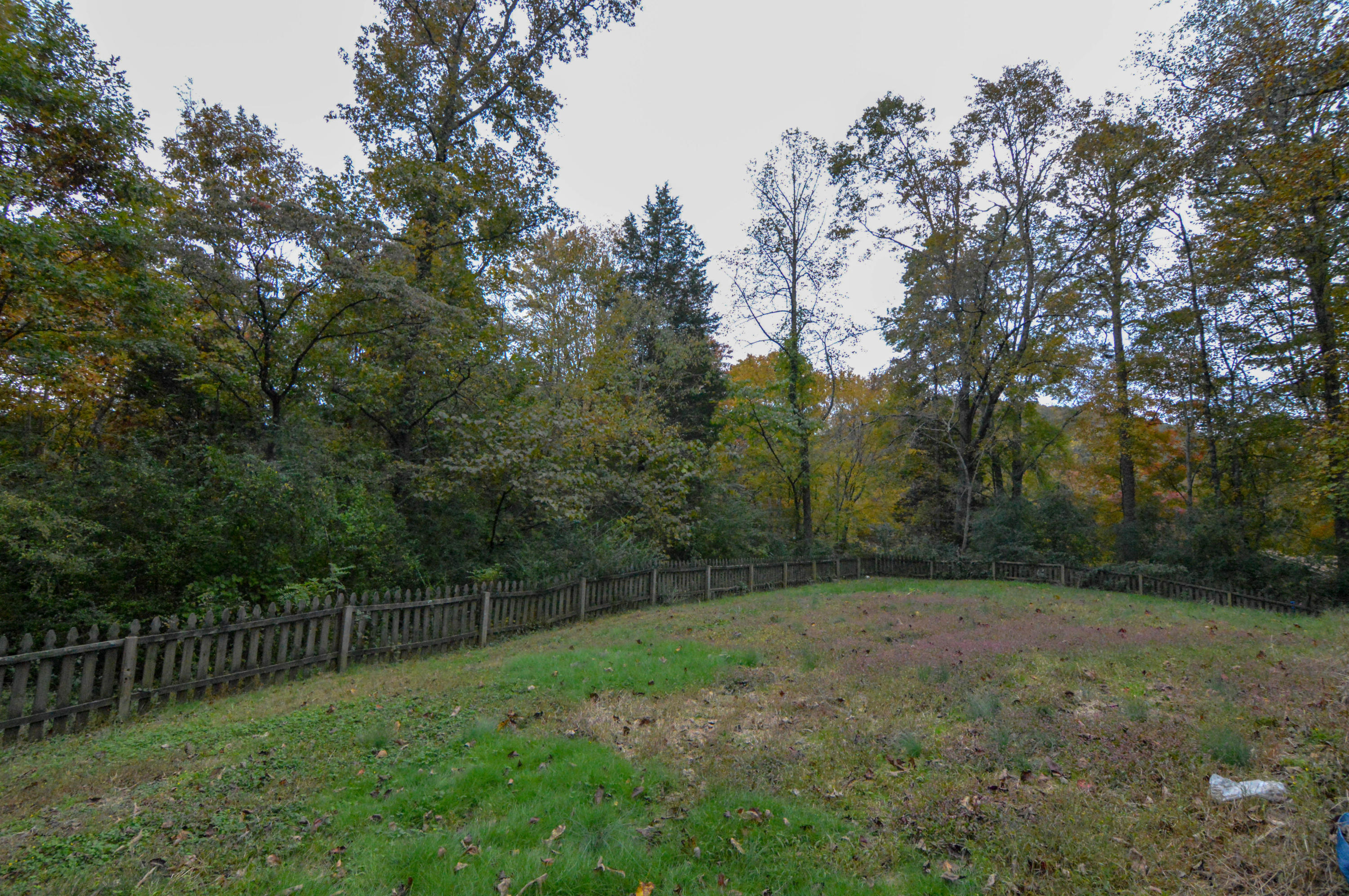 156 Scott Road Harriman, TN 37748 - Photo 19 of 37 DSC_0781
