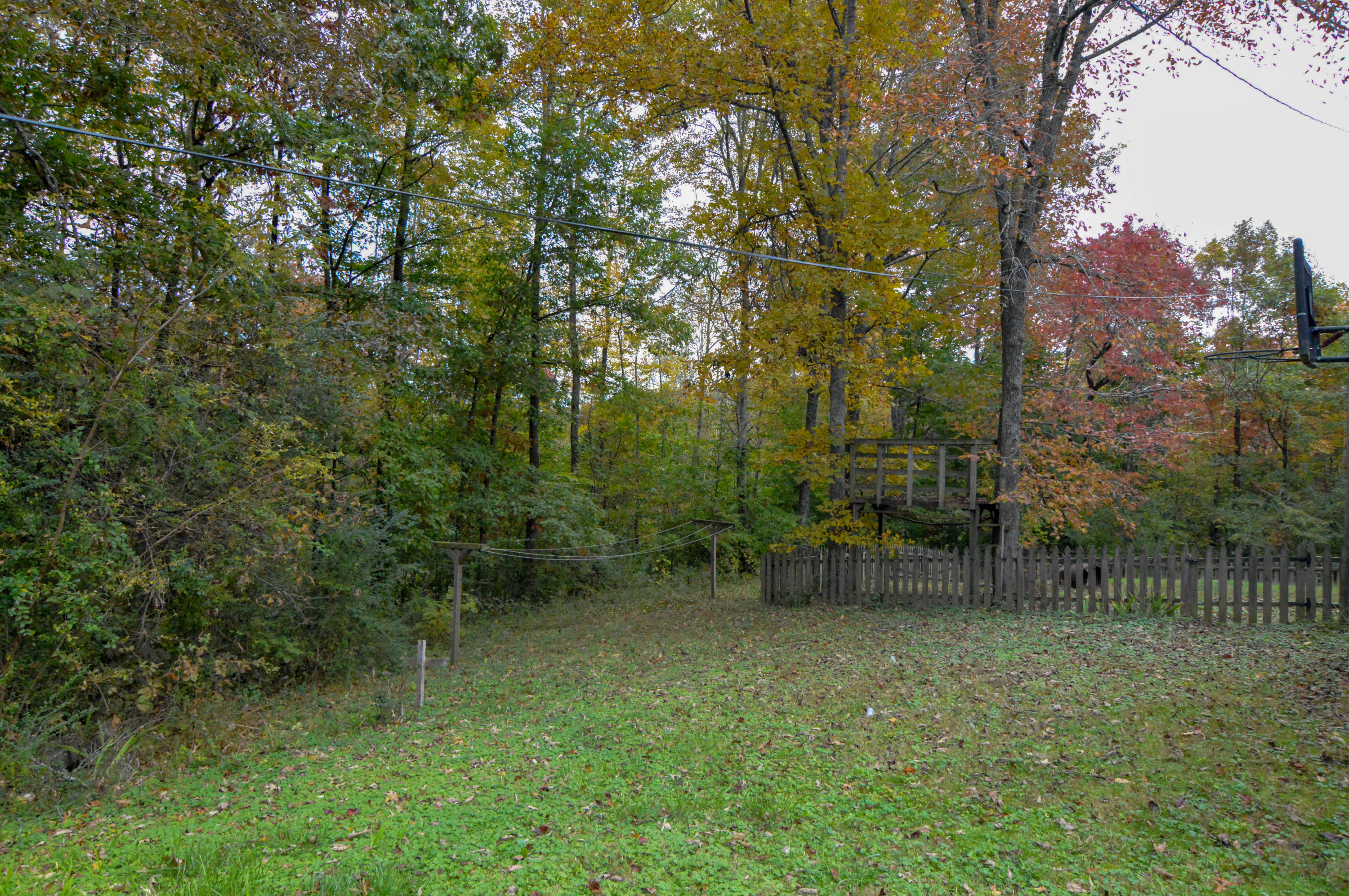 156 Scott Road Harriman, TN 37748 - Photo 3 of 37 DSC_0779