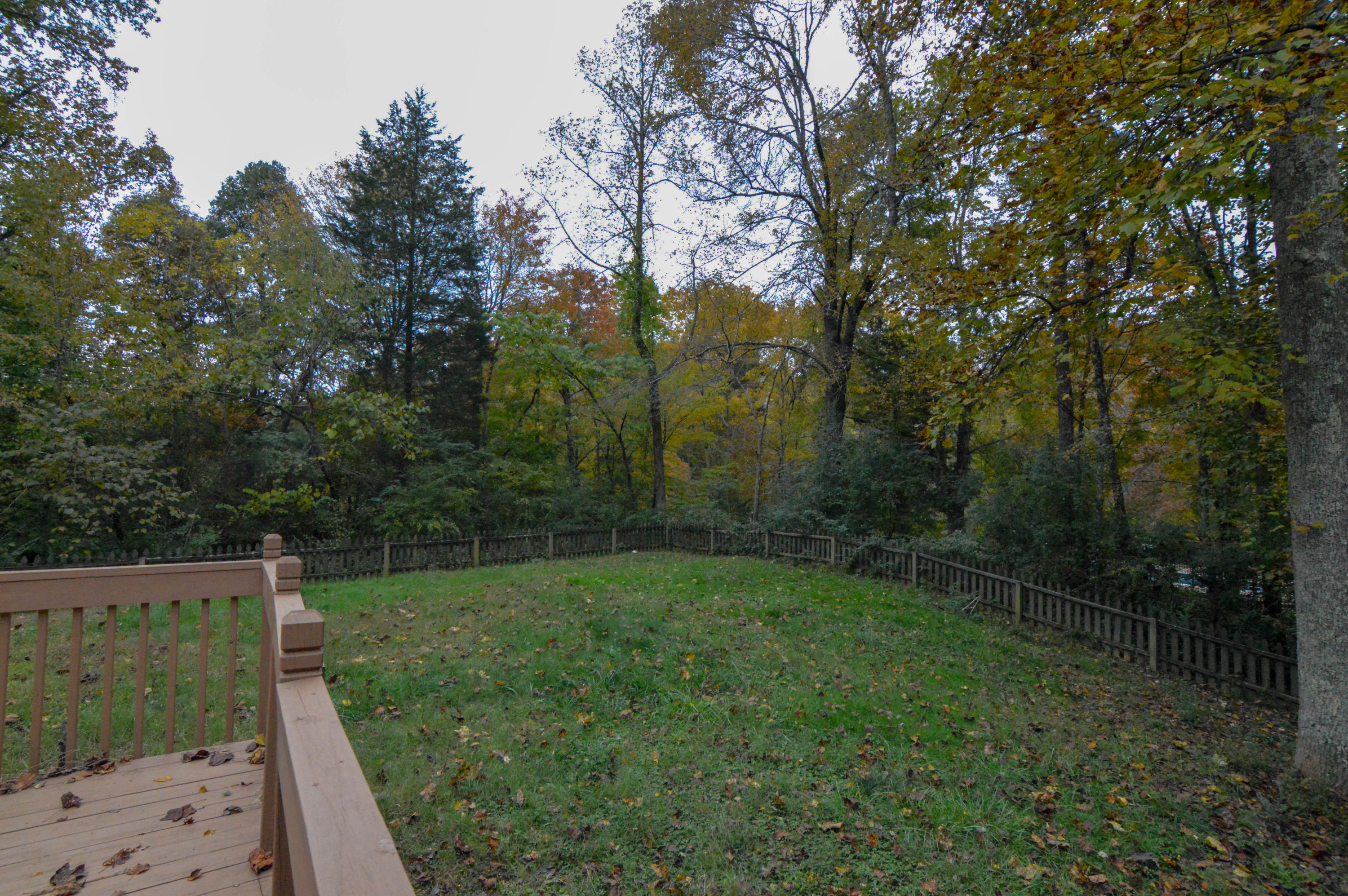 156 Scott Road Harriman, TN 37748 - Photo 22 of 37 DSC_0788