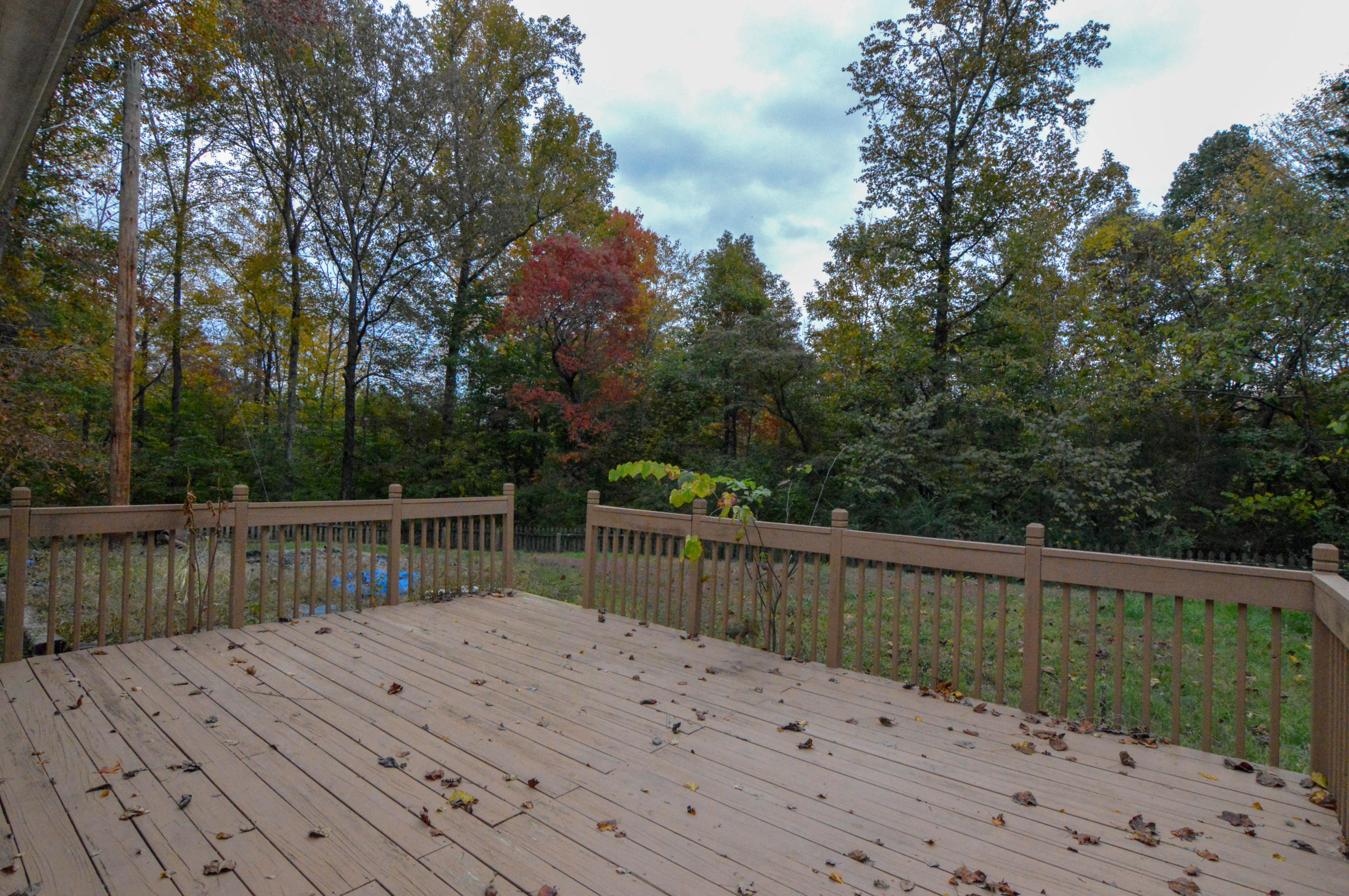 156 Scott Road Harriman, TN 37748 - Photo 23 of 37 DSC_0790