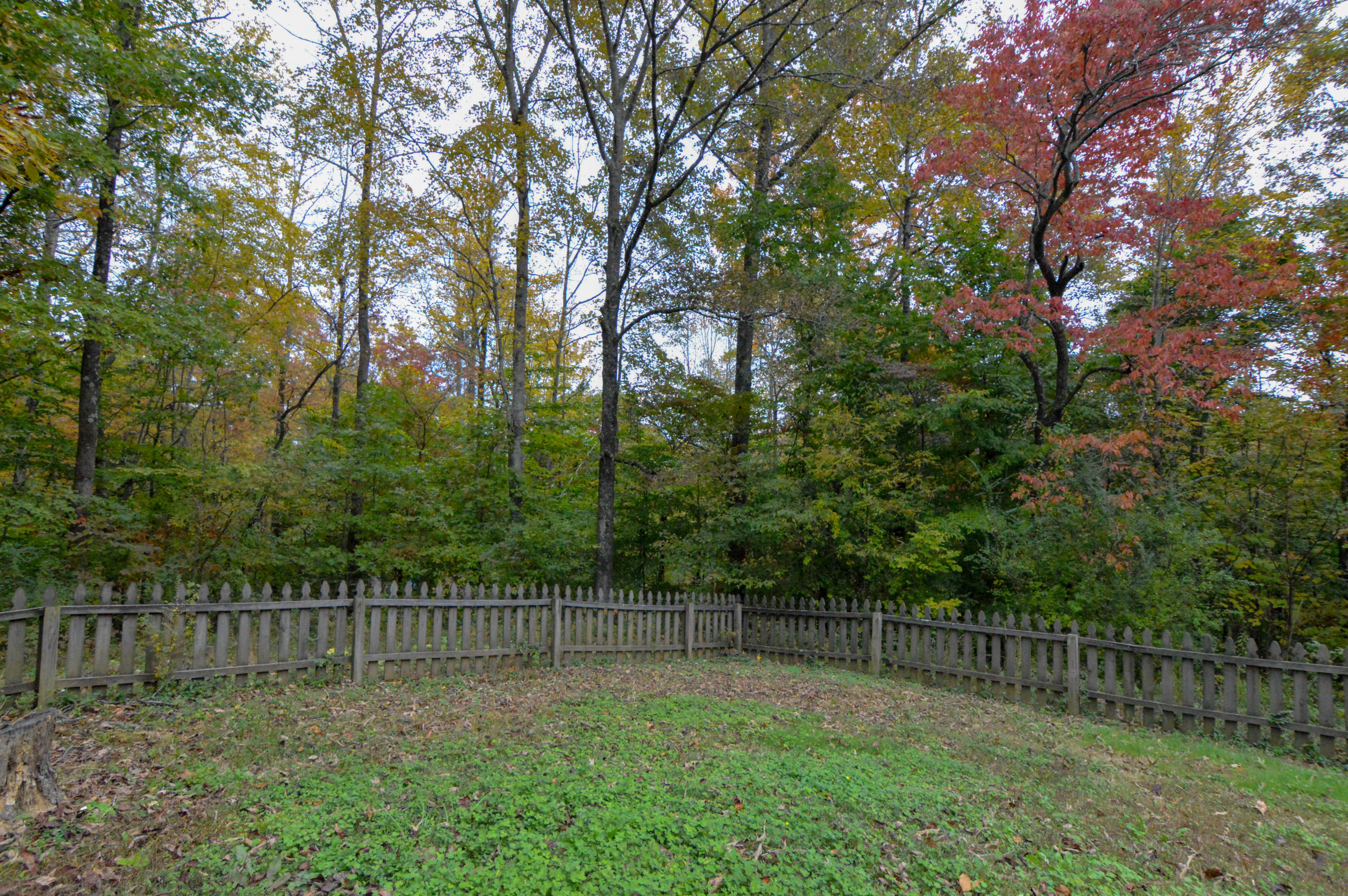156 Scott Road Harriman, TN 37748 - Photo 5 of 37 DSC_0780
