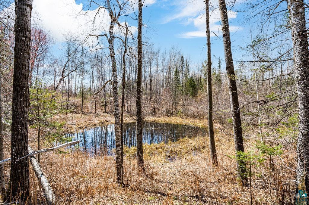 6786 Abbott Road Duluth, MN 55803 - Photo 37 of 46
