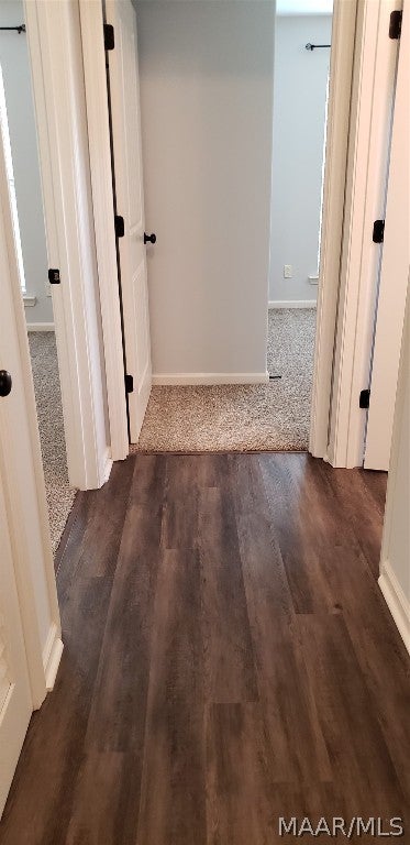 558 Jones Road Newton, AL 36352 - Photo 32 of 57 Gallery Image 32