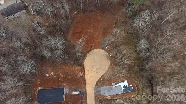 a picture of a tree in a backyard